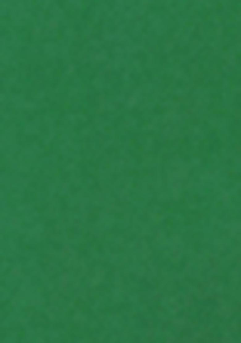 Green Embroidered Silk Sherwani for Men